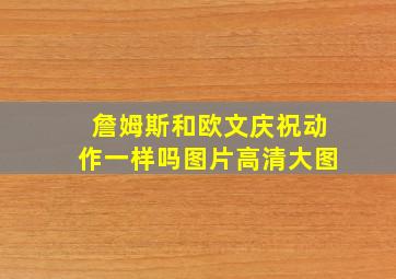 詹姆斯和欧文庆祝动作一样吗图片高清大图