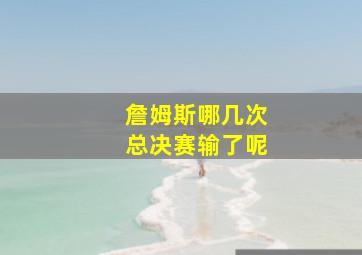 詹姆斯哪几次总决赛输了呢