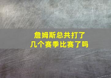 詹姆斯总共打了几个赛季比赛了吗