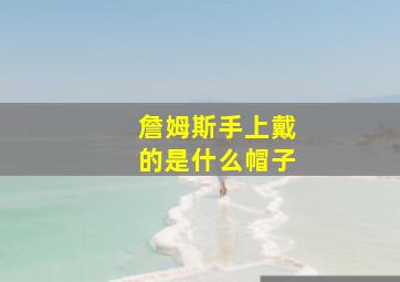 詹姆斯手上戴的是什么帽子