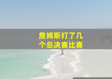 詹姆斯打了几个总决赛比赛