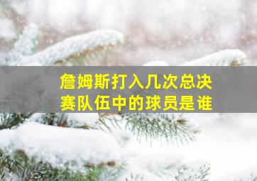 詹姆斯打入几次总决赛队伍中的球员是谁