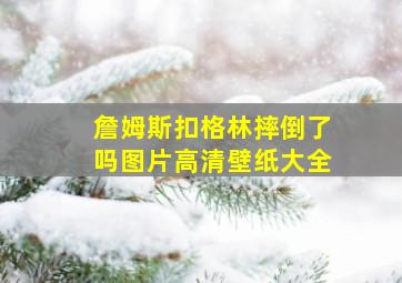 詹姆斯扣格林摔倒了吗图片高清壁纸大全