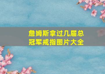 詹姆斯拿过几届总冠军戒指图片大全