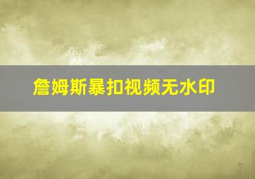 詹姆斯暴扣视频无水印