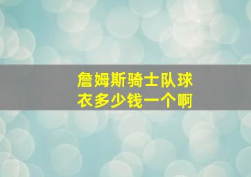 詹姆斯骑士队球衣多少钱一个啊