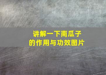 讲解一下南瓜子的作用与功效图片