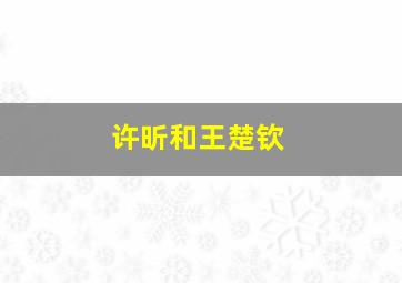 许昕和王楚钦