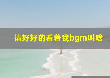 请好好的看着我bgm叫啥