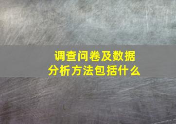 调查问卷及数据分析方法包括什么