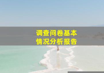 调查问卷基本情况分析报告