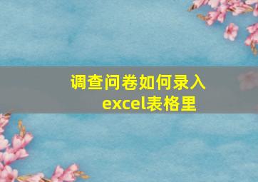 调查问卷如何录入excel表格里