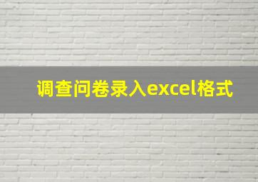 调查问卷录入excel格式