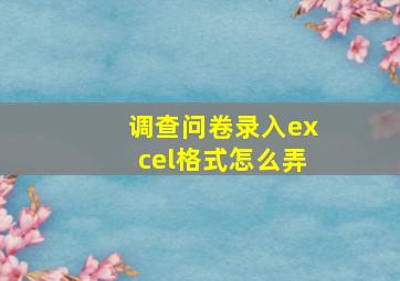 调查问卷录入excel格式怎么弄