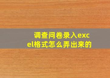 调查问卷录入excel格式怎么弄出来的