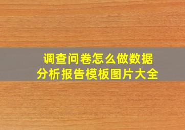 调查问卷怎么做数据分析报告模板图片大全