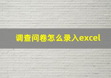 调查问卷怎么录入excel