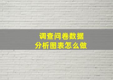 调查问卷数据分析图表怎么做