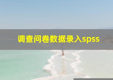 调查问卷数据录入spss