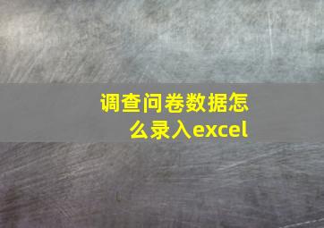 调查问卷数据怎么录入excel