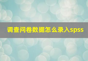 调查问卷数据怎么录入spss