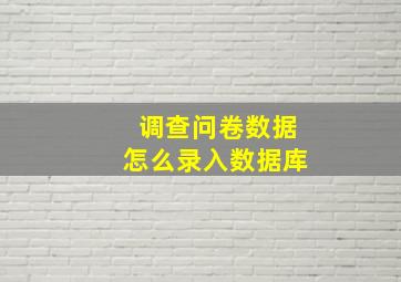 调查问卷数据怎么录入数据库