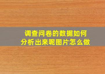 调查问卷的数据如何分析出来呢图片怎么做