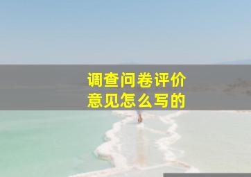 调查问卷评价意见怎么写的