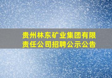 贵州林东矿业集团有限责任公司招聘公示公告