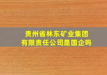 贵州省林东矿业集团有限责任公司是国企吗