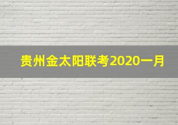 贵州金太阳联考2020一月