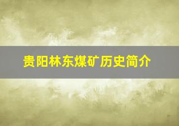 贵阳林东煤矿历史简介