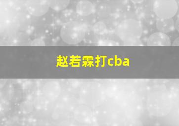 赵若霖打cba