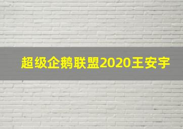 超级企鹅联盟2020王安宇