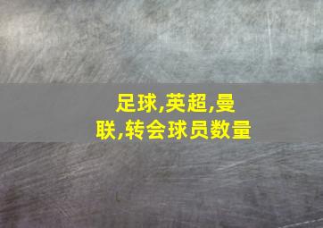 足球,英超,曼联,转会球员数量