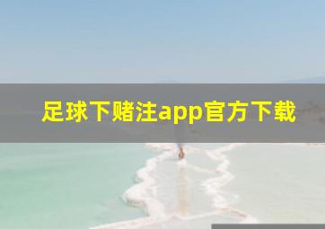 足球下赌注app官方下载