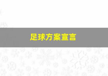 足球方案宣言