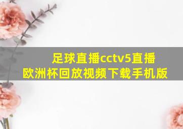 足球直播cctv5直播欧洲杯回放视频下载手机版