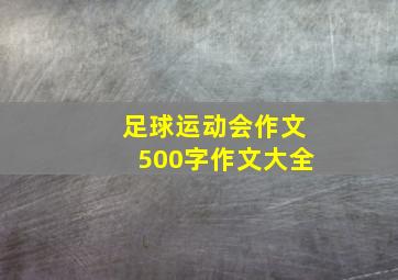 足球运动会作文500字作文大全