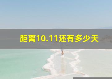 距离10.11还有多少天