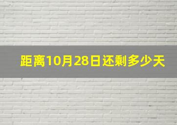 距离10月28日还剩多少天