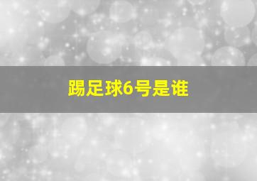 踢足球6号是谁