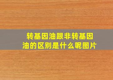 转基因油跟非转基因油的区别是什么呢图片