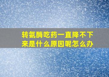 转氨酶吃药一直降不下来是什么原因呢怎么办