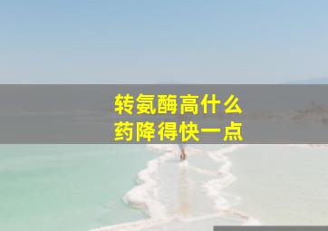 转氨酶高什么药降得快一点