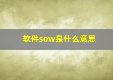 软件sow是什么意思