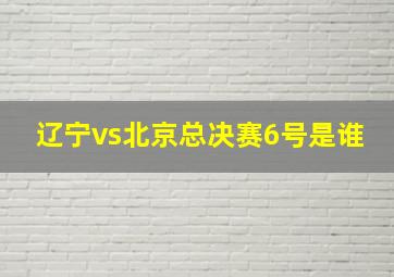 辽宁vs北京总决赛6号是谁