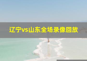 辽宁vs山东全场录像回放