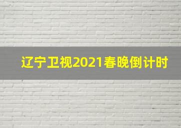 辽宁卫视2021春晚倒计时