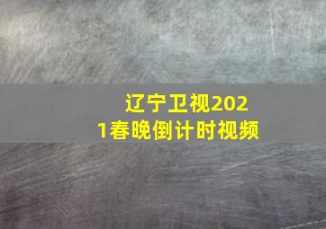 辽宁卫视2021春晚倒计时视频